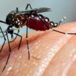 Secretaria Municipal de Saúde confirma nova morte por dengue em Londrina