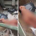 Garis são afastados após brincar com ‘boneca reborn adulta’