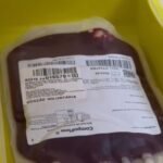 Estoques de sangue A-, AB- e O- estão em estado crítico no Hemocentro de Londrina