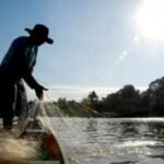 Piracema tem início no Paraná; pesca de espécies nativas está proibida até 28 de fevereiro