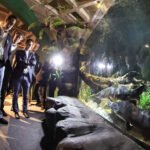 Novo atrativo: Foz do Iguaçu ganha um dos maiores aquários da América do Sul