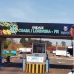 Ceasas do Paraná terão dias e horários diferenciados nos períodos de Natal e Ano Novo