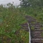 Corpo é encontrado em área de difícil acesso em Ibiporã