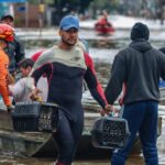 Nova Lei Institui Política para Acolhimento de Animais Resgatados em Desastres