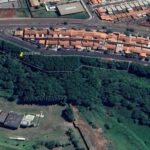 Meio Ambiente vai retirar árvores consideradas invasoras e perigosas em Ibiporã