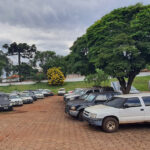 Ford Focus, Hylux e Amarok: Estado abre inscrições para o 1º leilão de veículos do ano