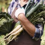 Prazo para prestação de contas da Nota do Produtor Rural de 2025 termina em 31/3