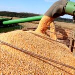 Conflito entre EUA e Irã encarece diesel e atinge safra de soja em Londrina