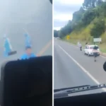 Confusão entre torcedores de Londrina e Operário termina com cinco presos