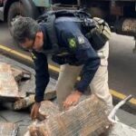 PRF vai prestar apoio a motorista de caminhão e flagra carga milionária de droga