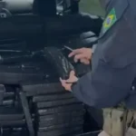 PRF apreende meia tonelada de maconha em carro clonado na PR-444