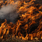Riscos de incêndios, corte de energia e acidentes de trânsito: soltar balão é crime no Brasil