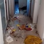 Bando de quatis invade e bagunça casa em condomínio de Londrina